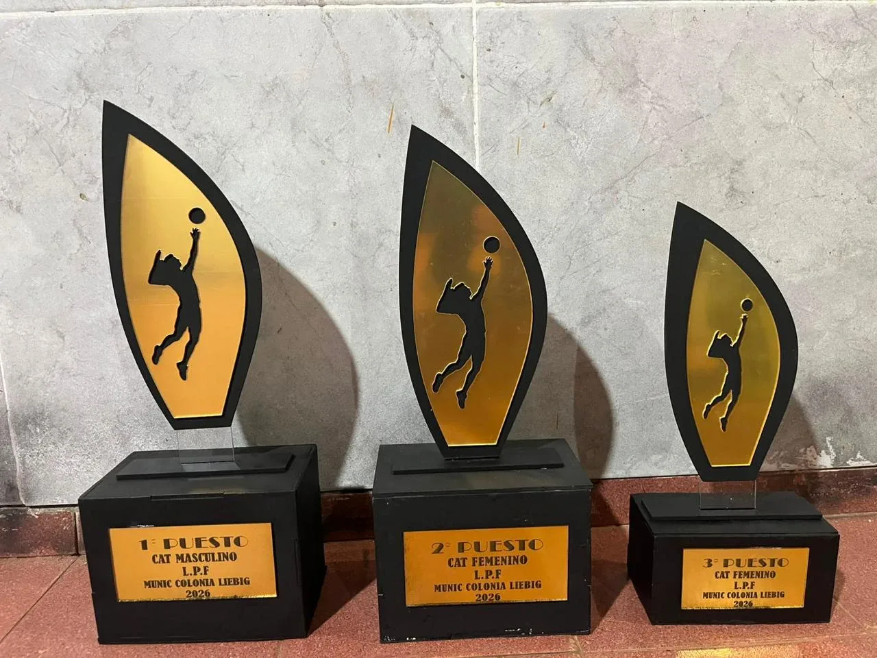 Trofeos de vóley 1°, 2° y 3° puesto, Colonia Liebig
